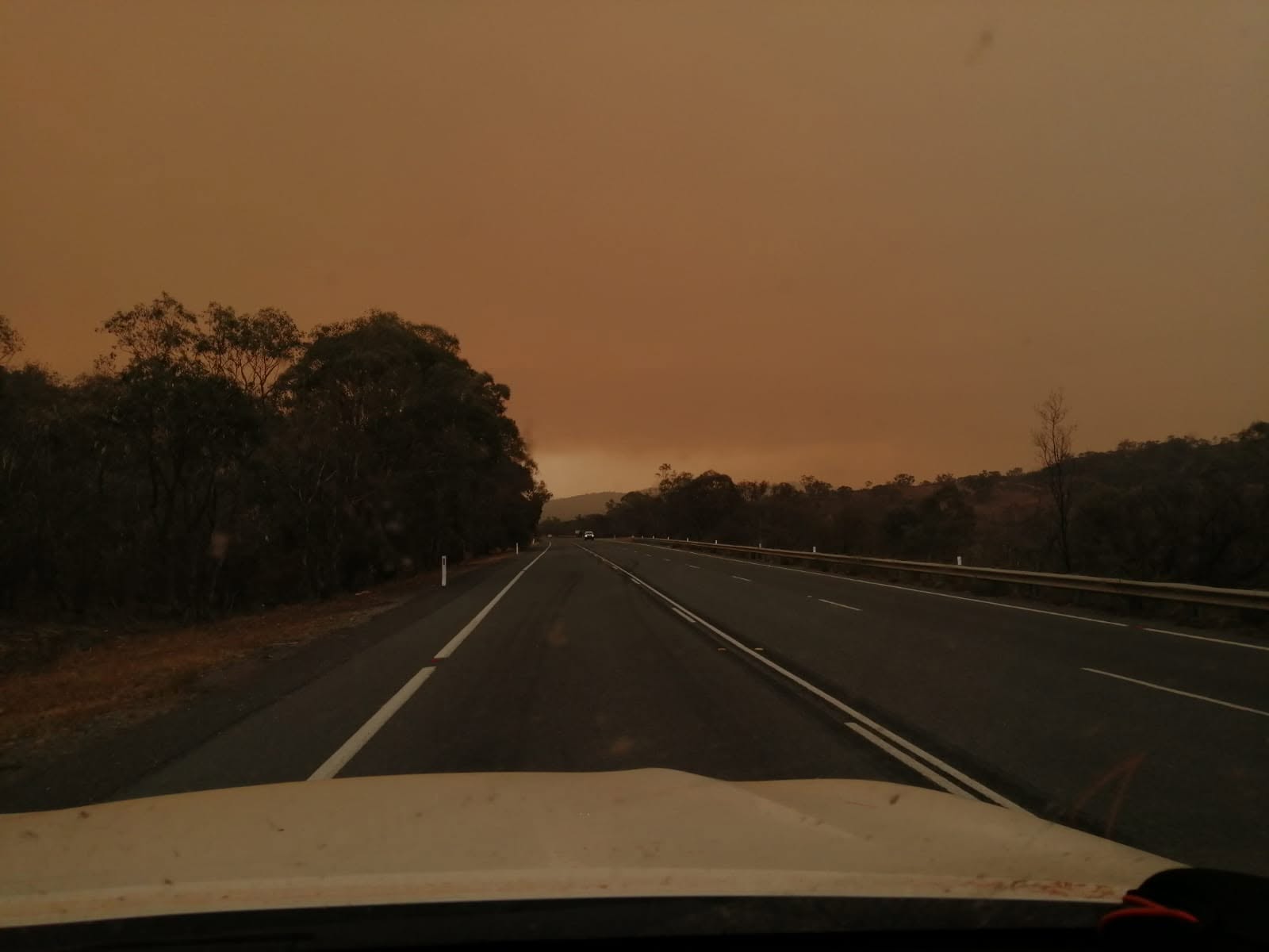 Buschbrand-Katastrophenhilfe des Bundesverbandes in Australien 2020 (7/10)