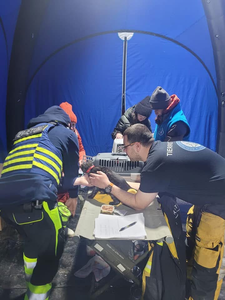 Einsatz Grenze Ukraine 2022