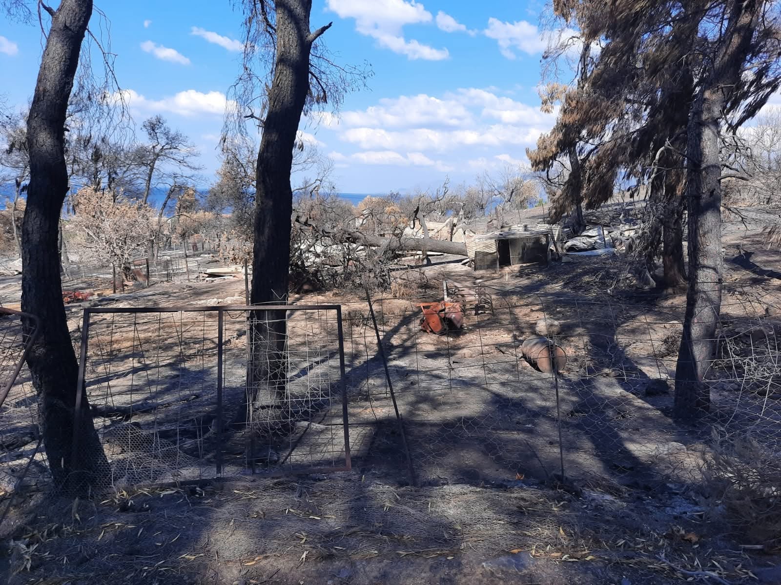 Einsatz der ADRG bei den Waldbränden in Griechenland 2021 (6/7)
