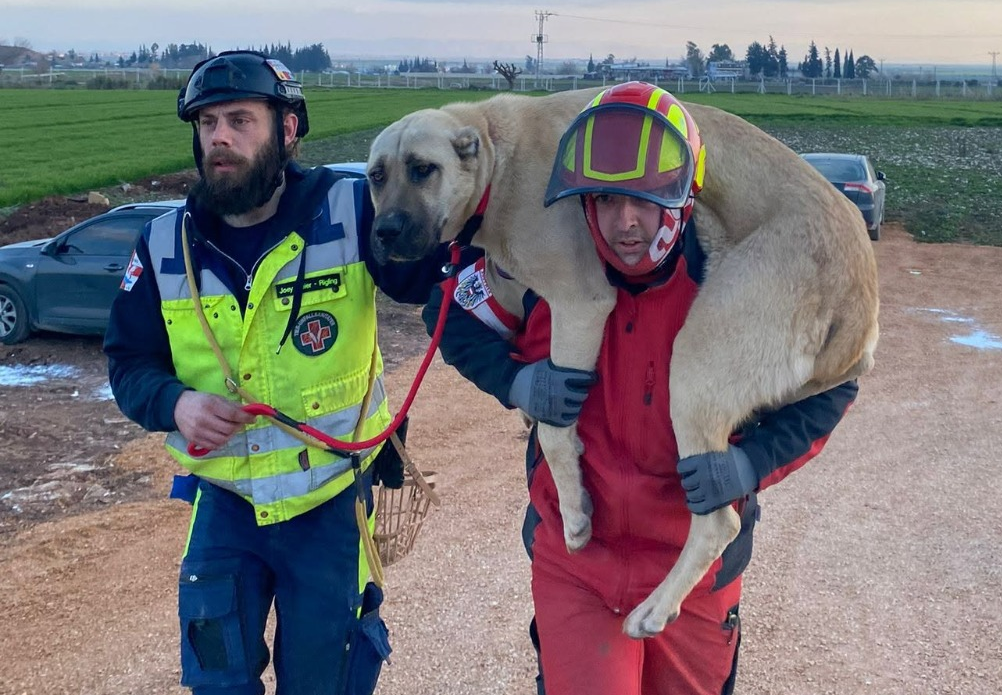 Einsatz der ADRG beim Erdbeben in der Türkei 2023 (9/10)