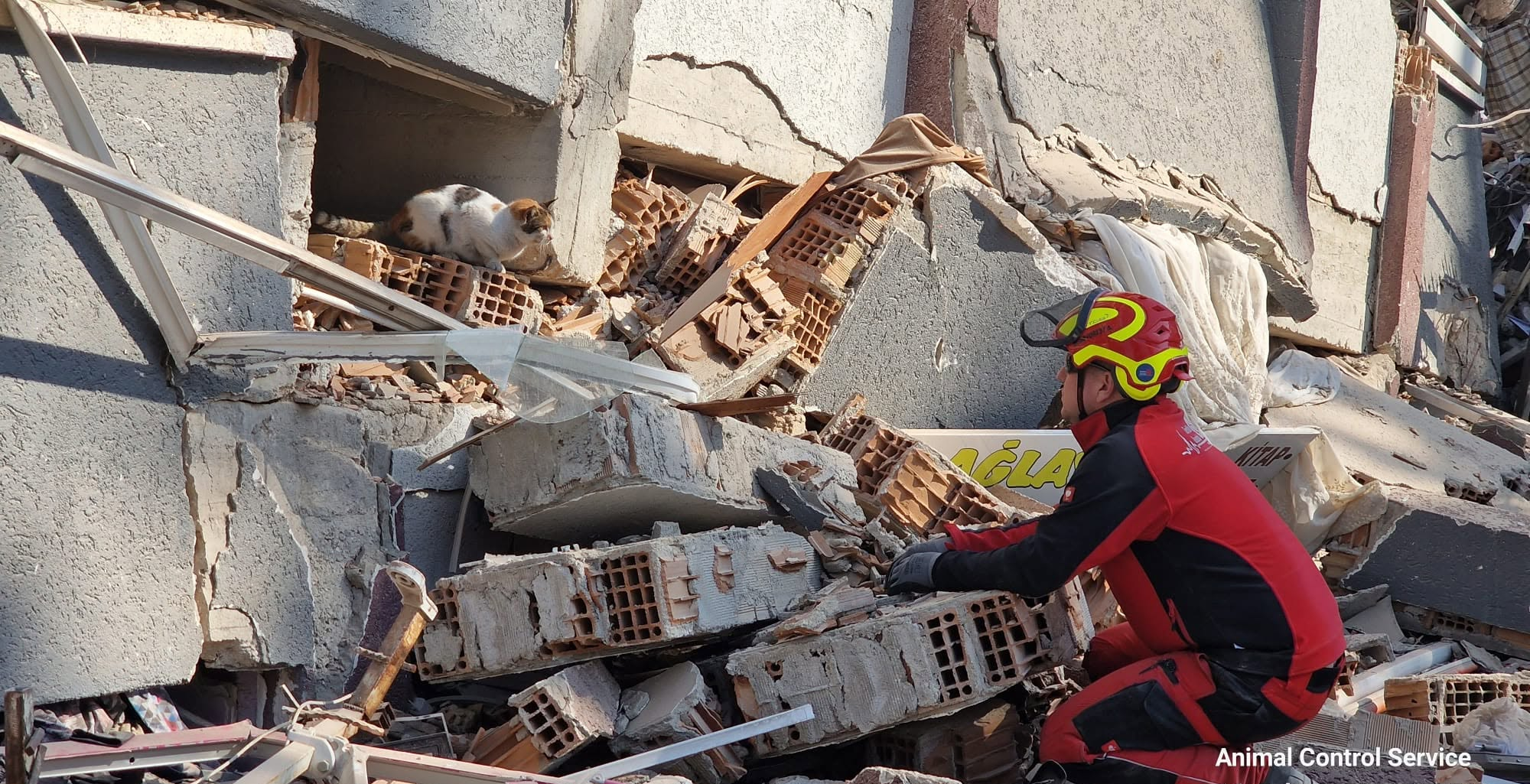 Einsatz der ADRG beim Erdbeben in der Türkei 2023 (10/10)